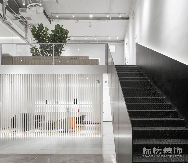 辦公室植物擺放植物有哪些，怎么擺放比較好？